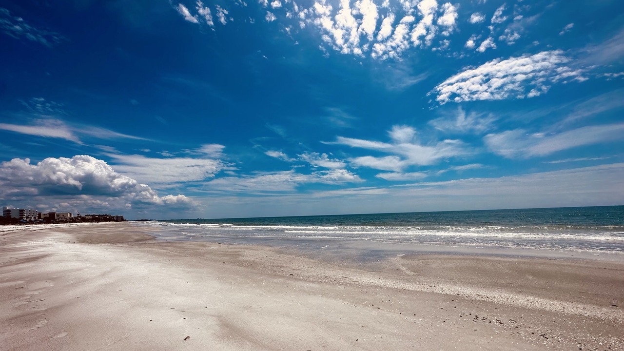 Photo of Others in Longboat Key