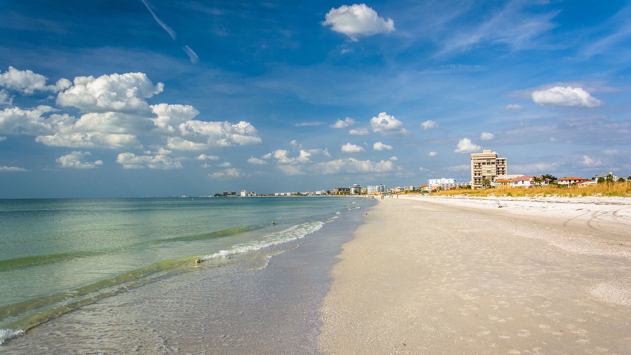 Photo of Others in St. Pete Beach