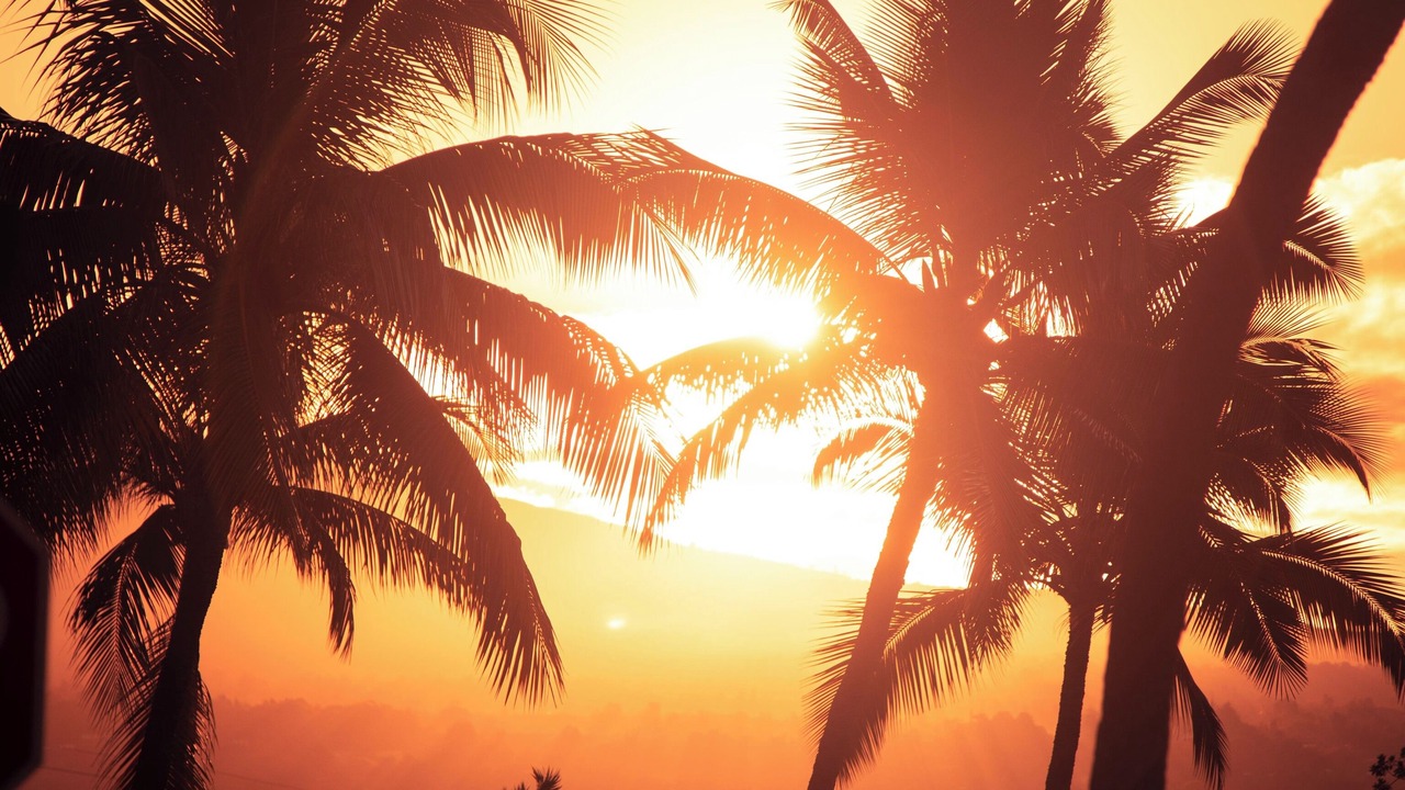 Photo of Others in Waikoloa Village