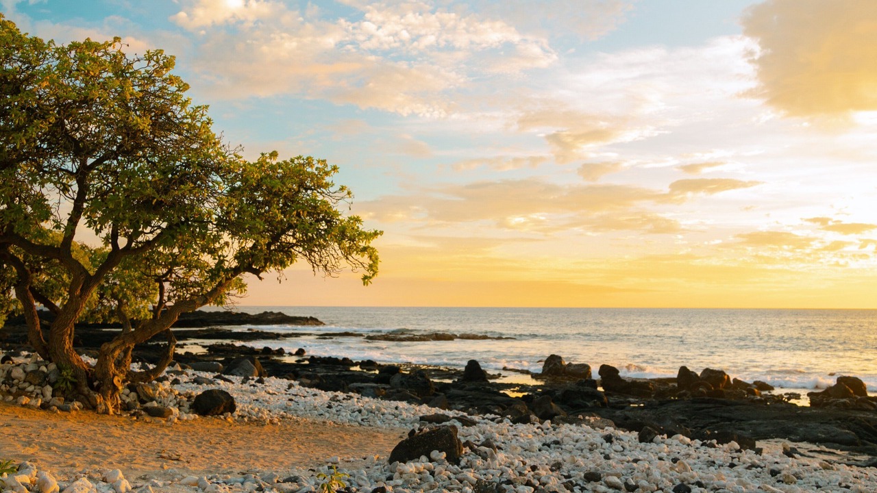 Photo of Others in Waikoloa Village