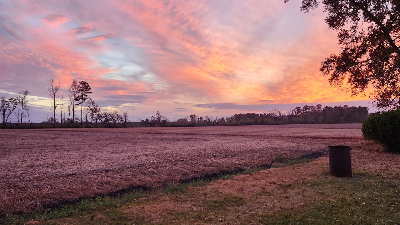 Photo of Outdoor in Whiteville