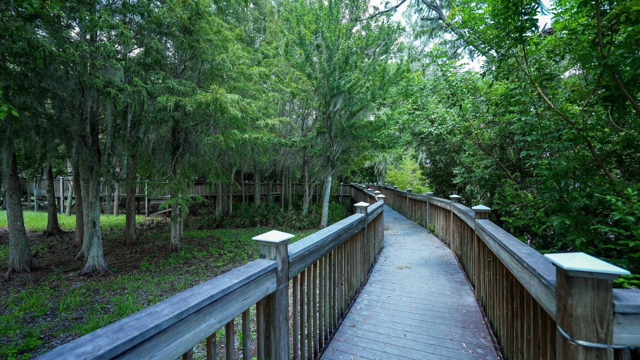 Photo of Outdoor in Florida Central Atlantic Coast