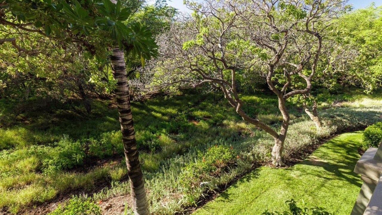 Photo of Outdoor in Kamuela