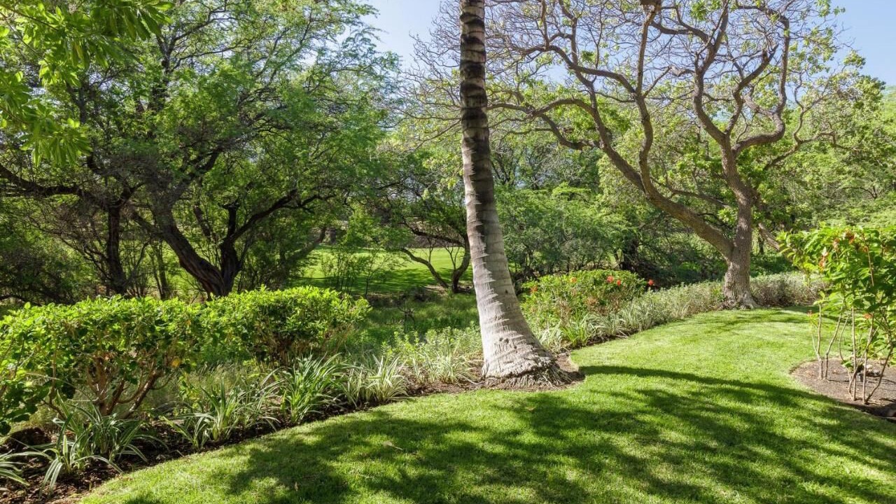 Photo of Outdoor in Kamuela