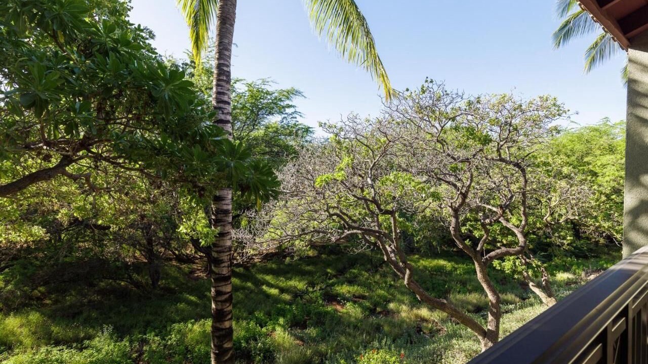 Photo of Outdoor in Kamuela
