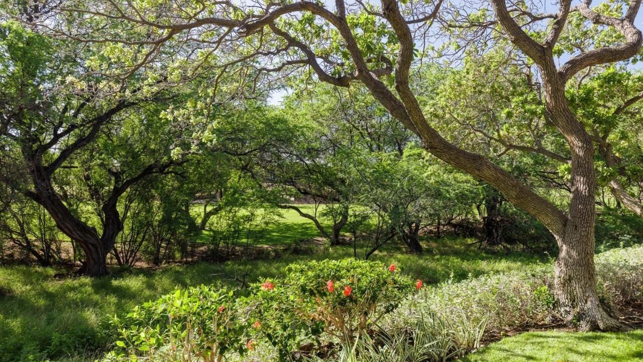 Photo of Outdoor in Kamuela