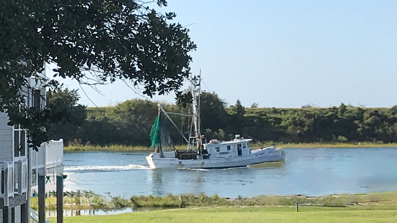 Photo of Others in Shallotte