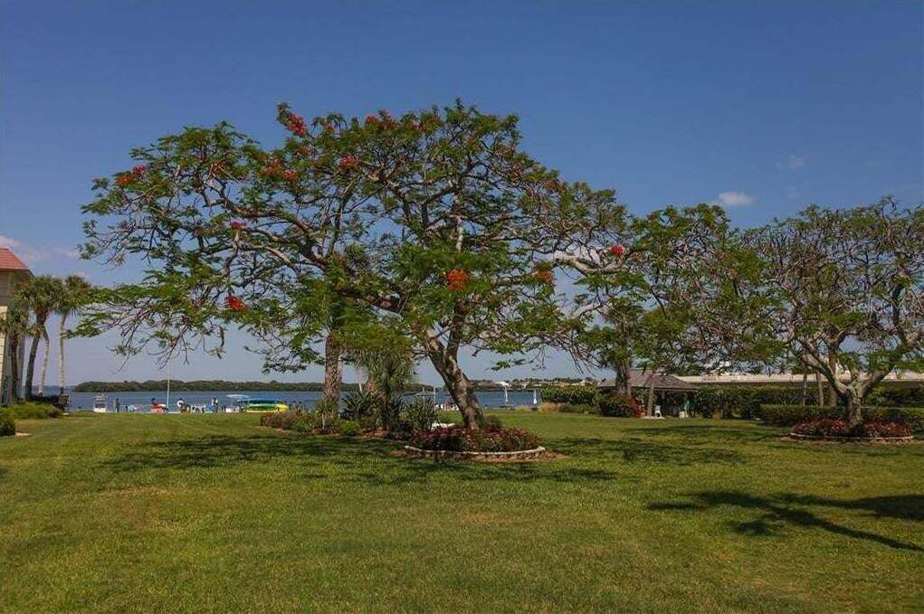 Photo of Others in Longboat Key