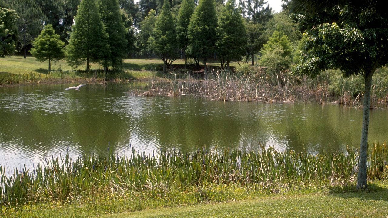 Photo of Outdoor in Feather Sound