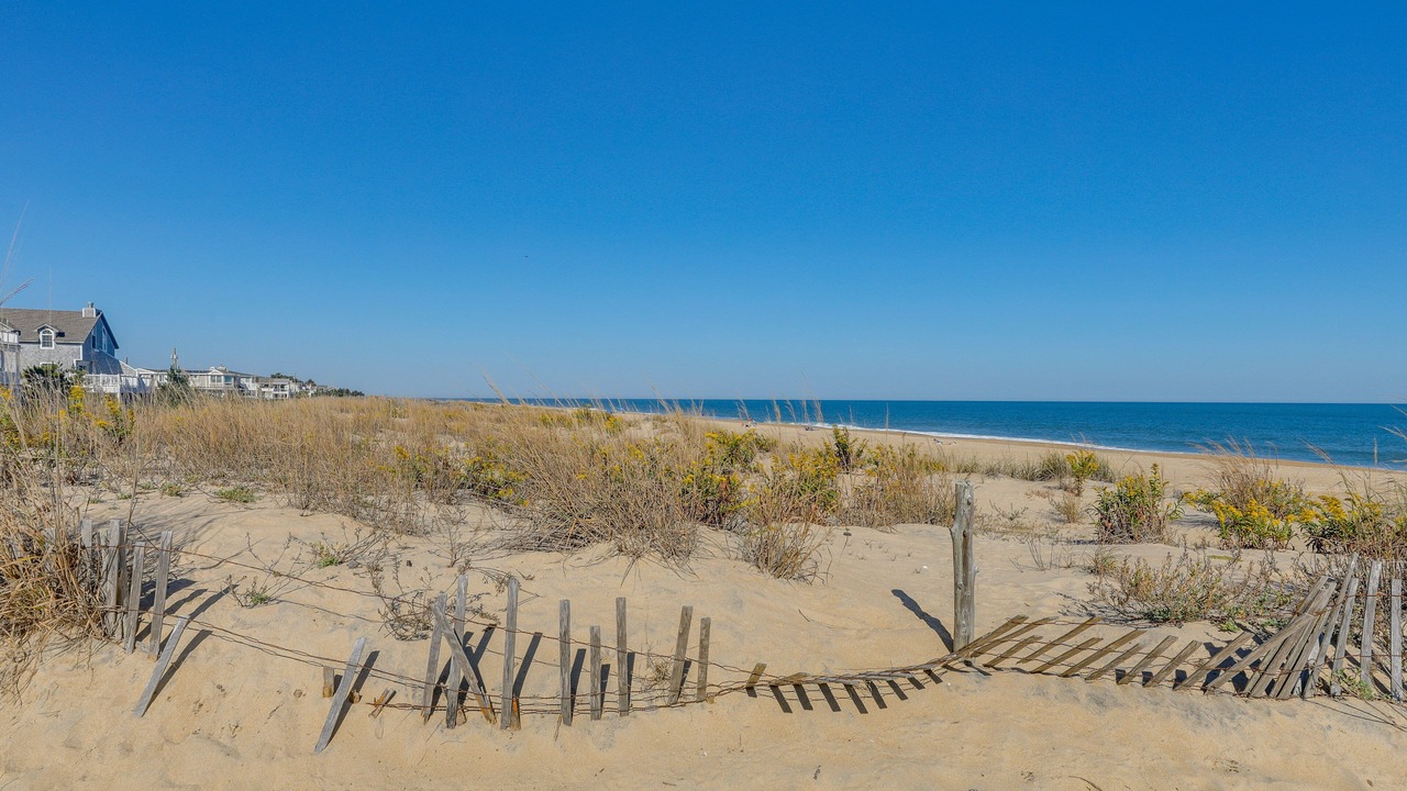 Photo of Others in Fenwick Island