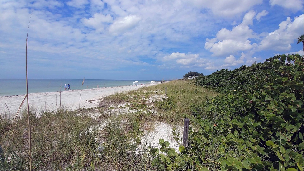 Photo of Others in Sunset Beach