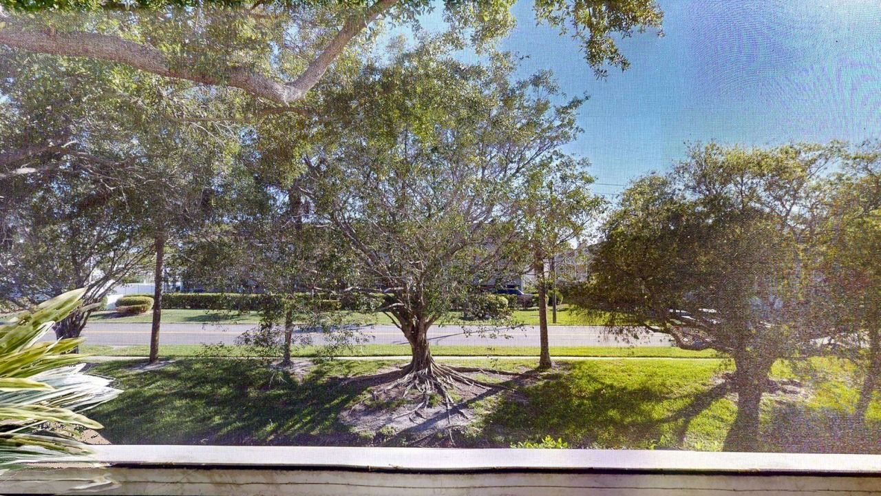 Photo of Outdoor in Capri Isle