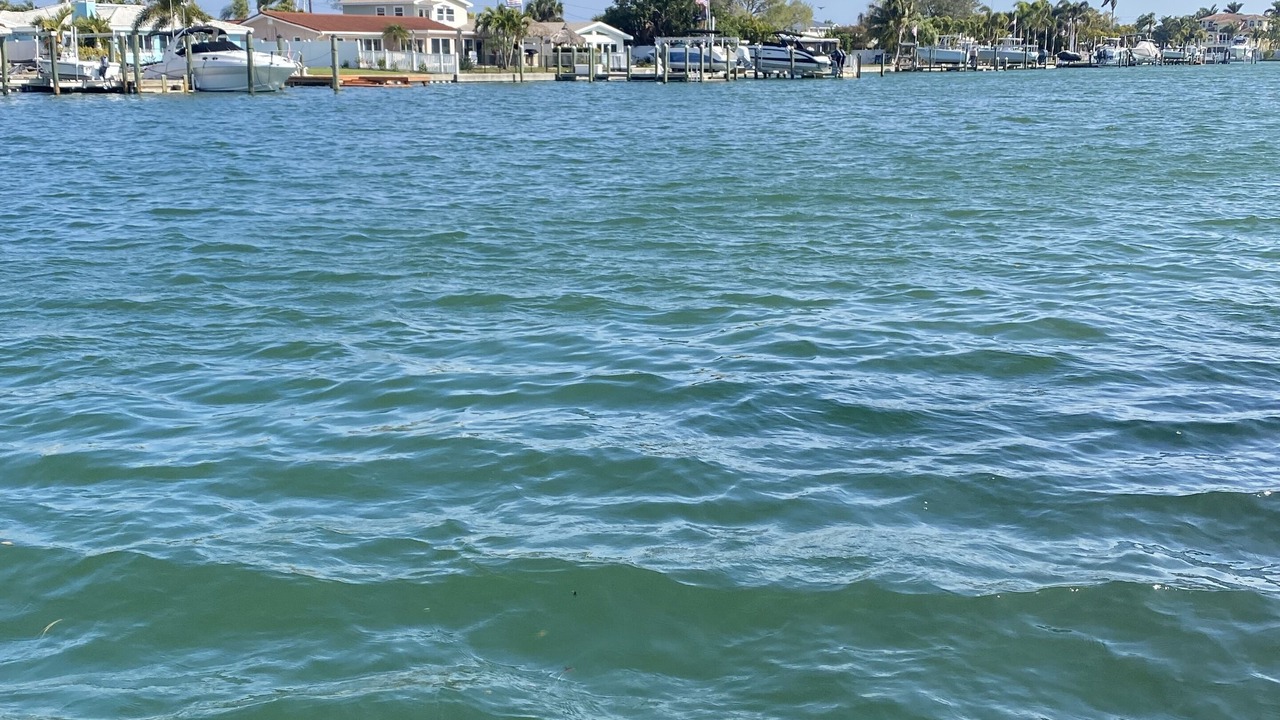 Photo of Others in Capri Isle