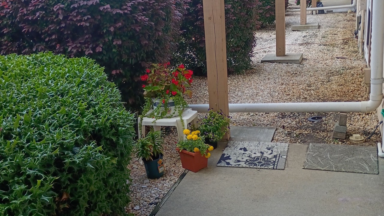 Photo of Outdoor in Little River