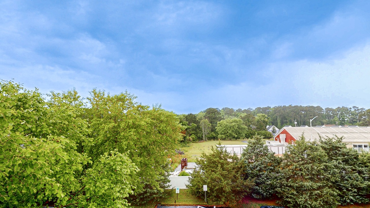 Photo of Outdoor in West Ocean City