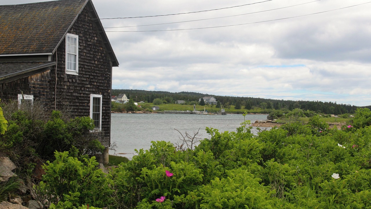 Photo of Others in Winter Harbor