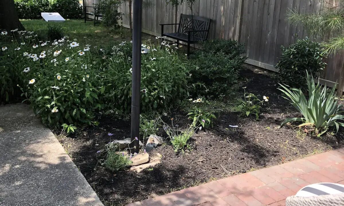 Photo of Outdoor in Dodds Addition