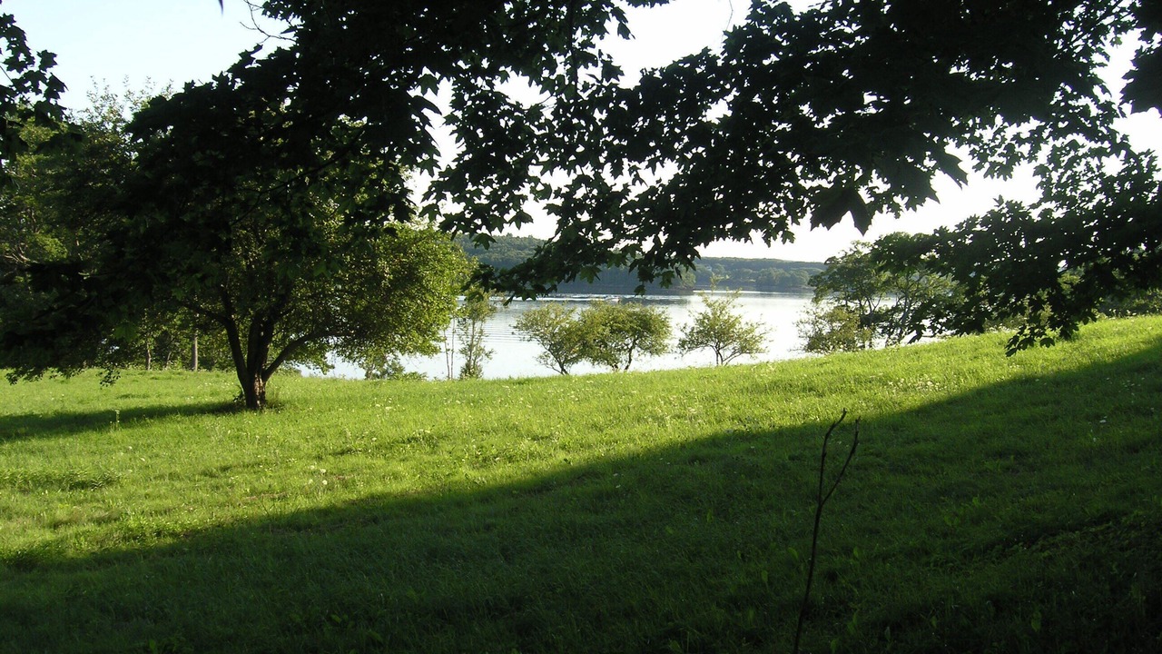Photo of Others in Isle of Springs