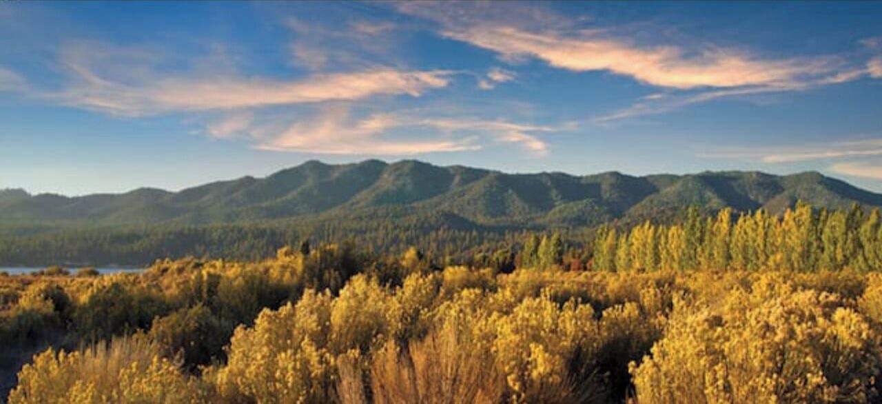 Photo of Others in Big Bear Lake