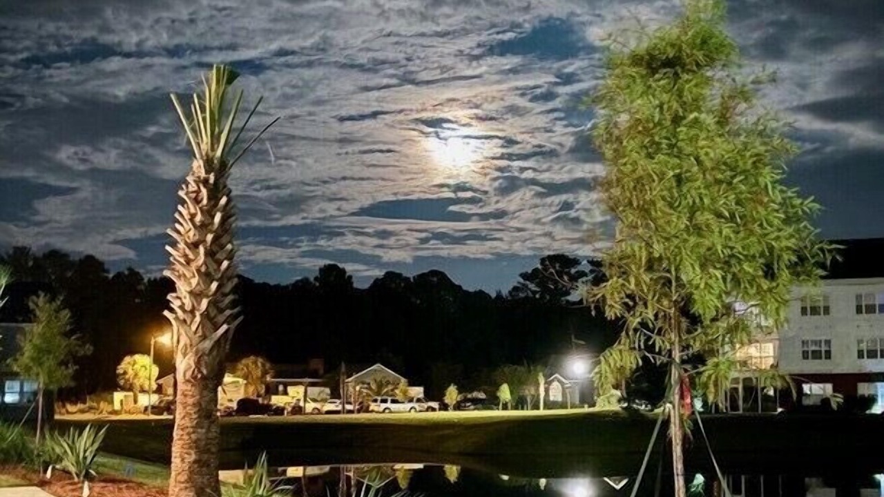 Photo of Outdoor in Little River