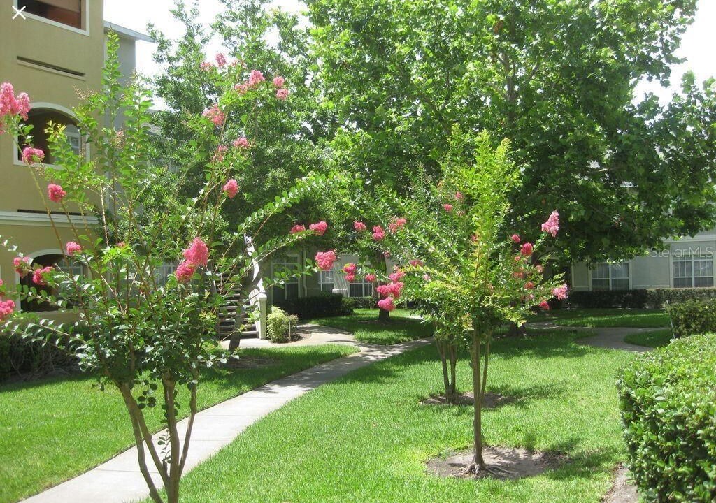 Photo of Outdoor in Clearwater