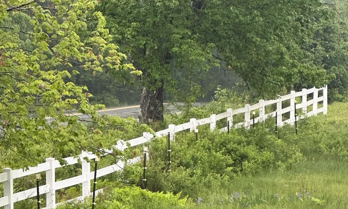 Photo of Others in Gouldsboro