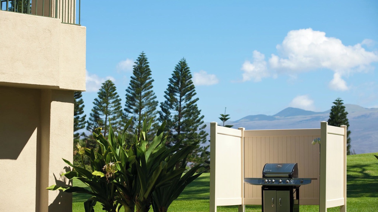 Photo of Outdoor in Waikoloa Village