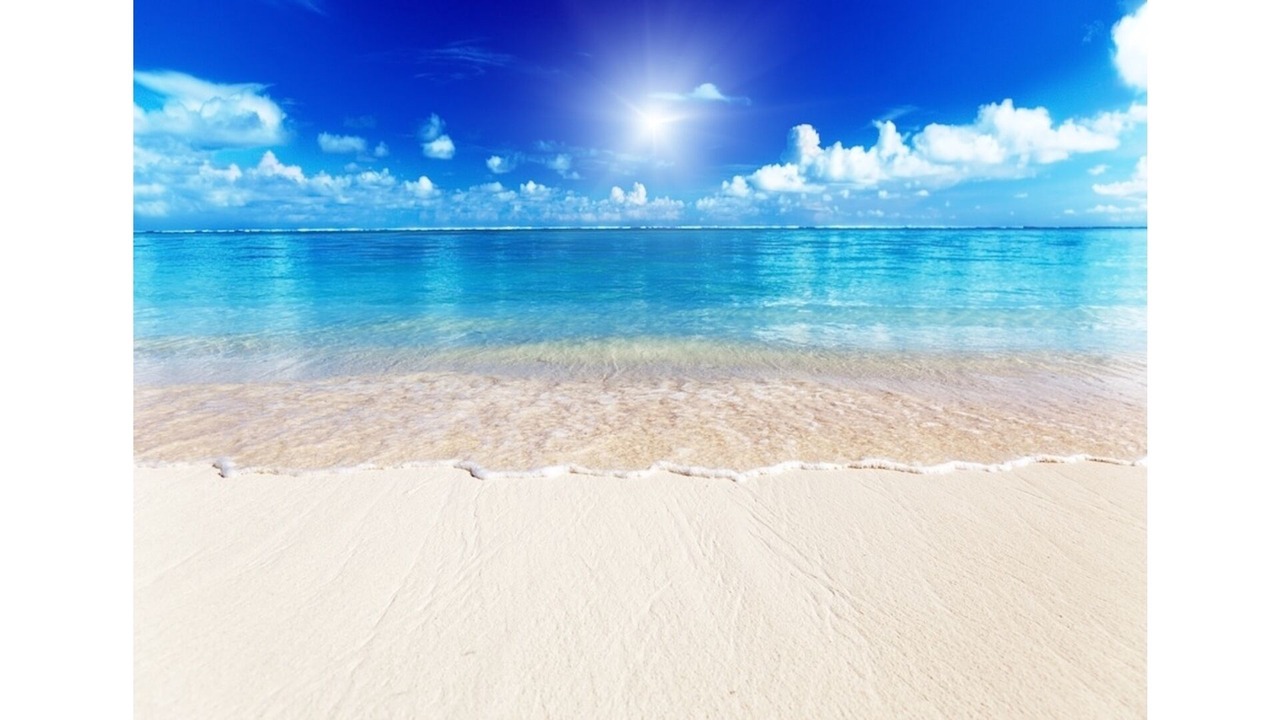 Photo of Others in Siesta Key
