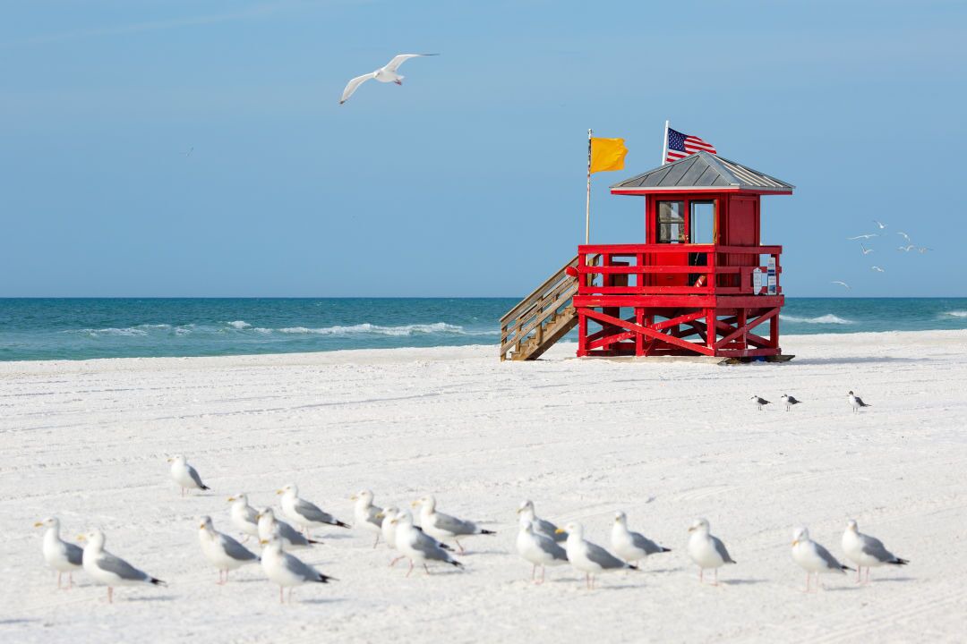 Photo of Others in Siesta Key