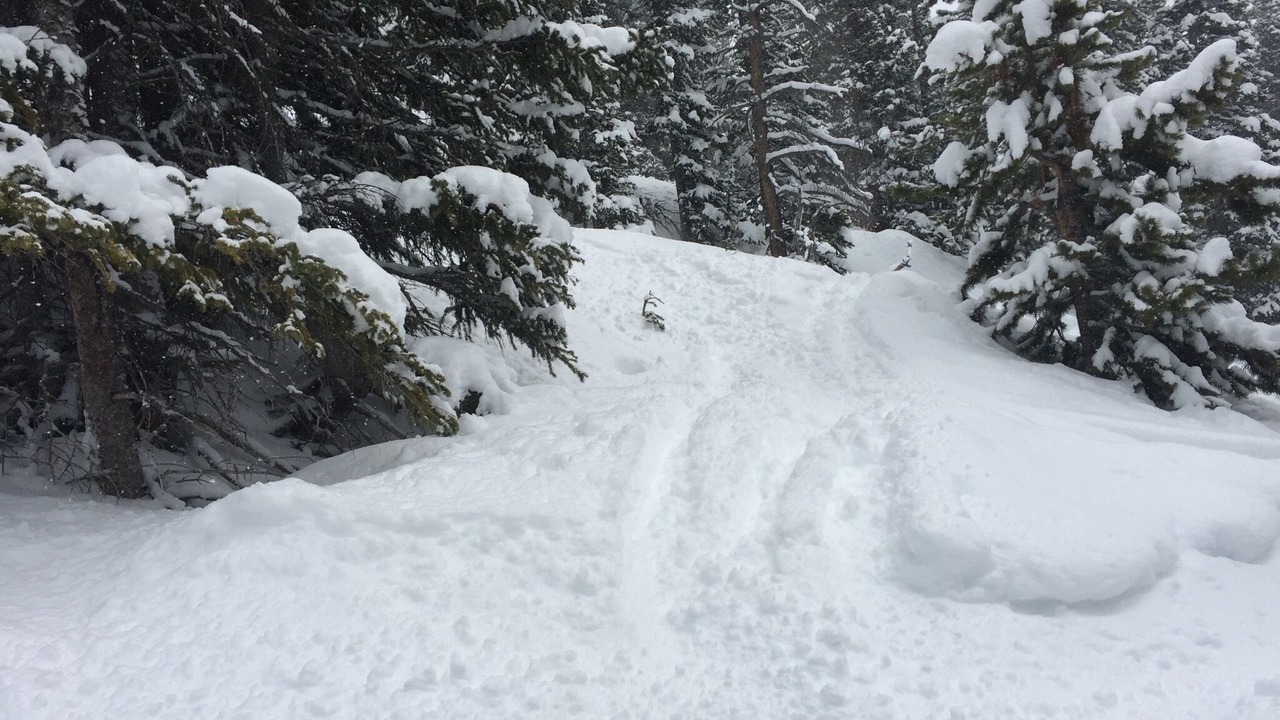 Photo of Others in Winter Park