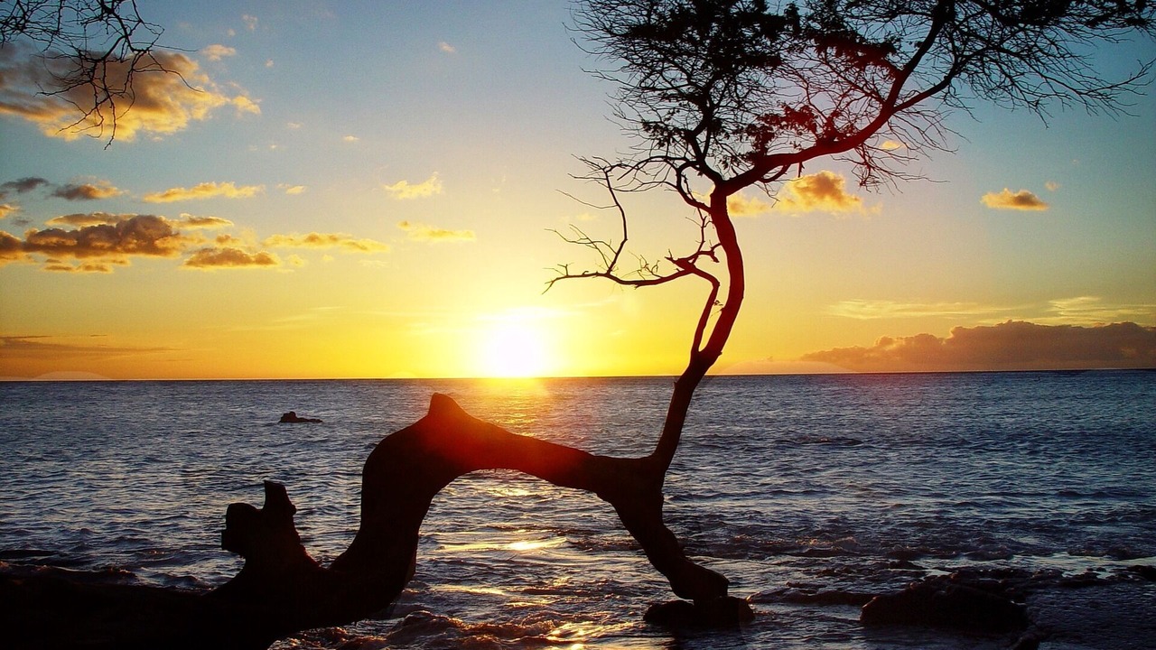 Photo of Others in Kahaluu Bay