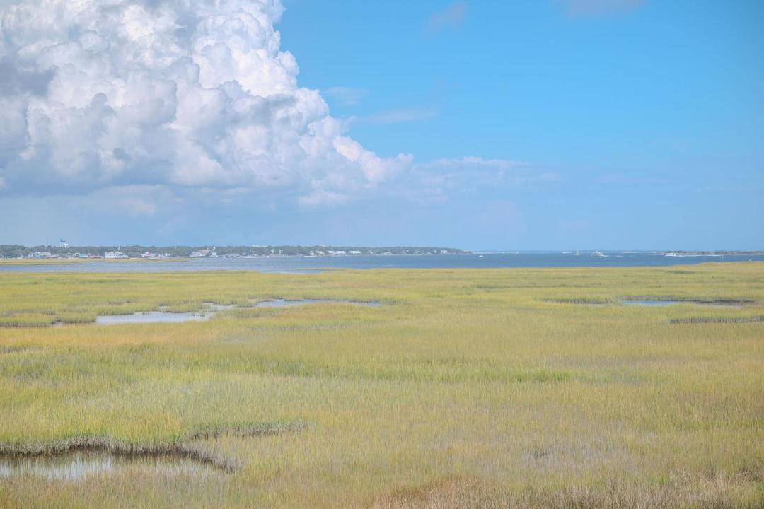 Photo of Others in Caswell Beach
