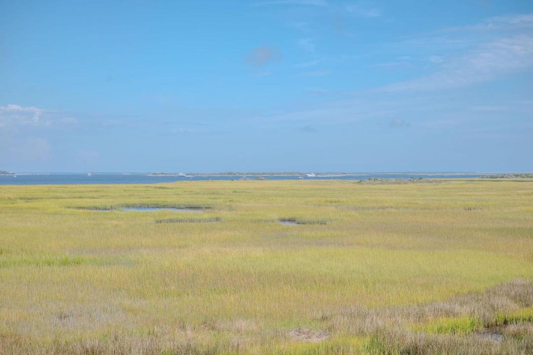 Photo of Others in Caswell Beach