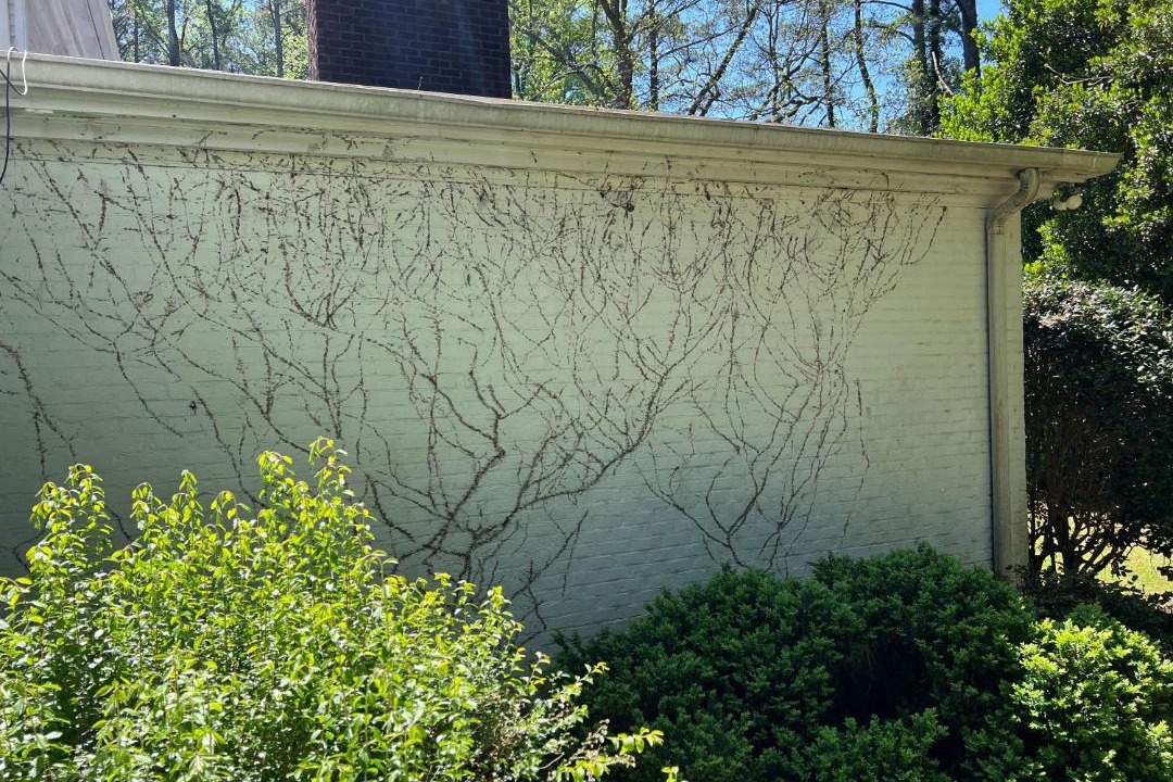 Photo of Others in Goldsboro