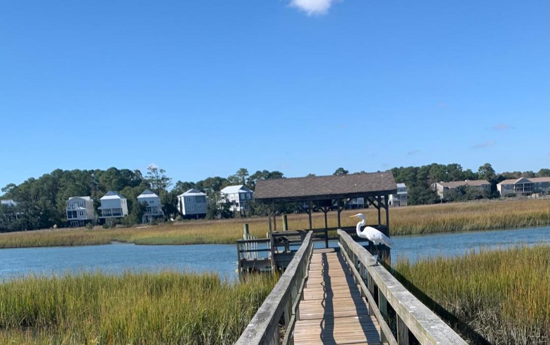 Photo of Others in Pawleys Island