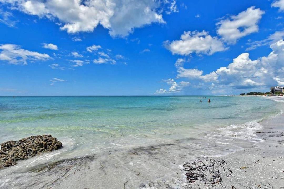 Photo of Others in Sarasota