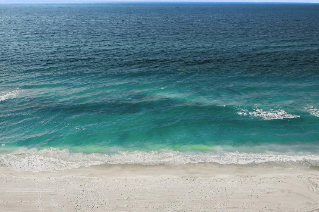 Photo of Others in Siesta Key
