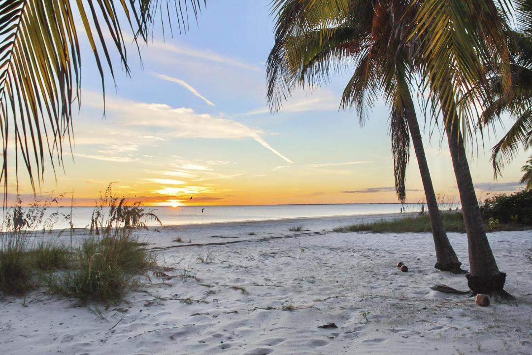 Photo of Others in Fort Myers Beach