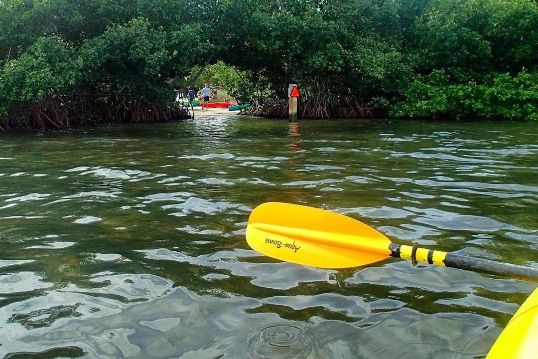 Photo of Others in Siesta Key
