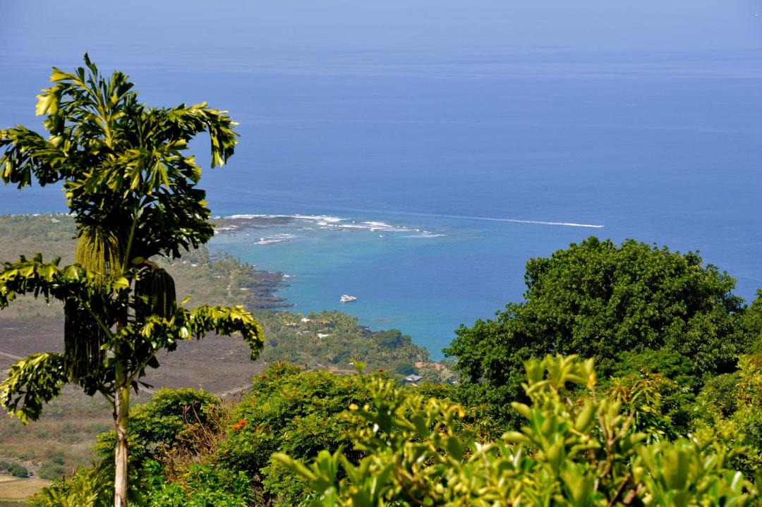 Photo of Others in Captain Cook