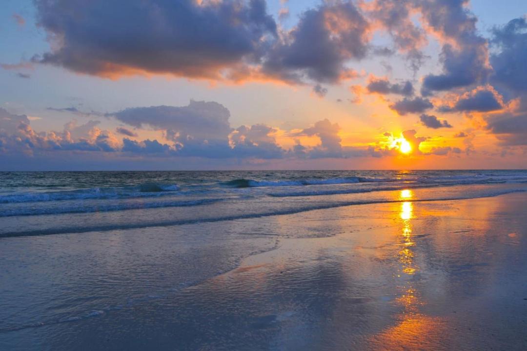 Photo of Others in Sarasota