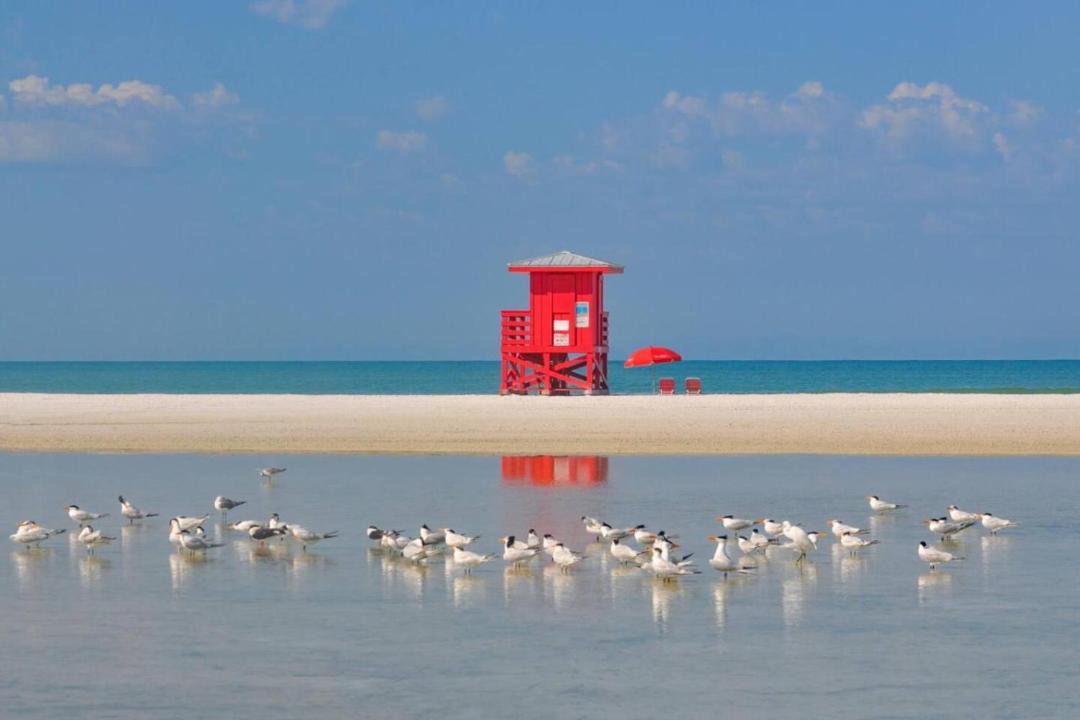 Photo of Others in Sarasota