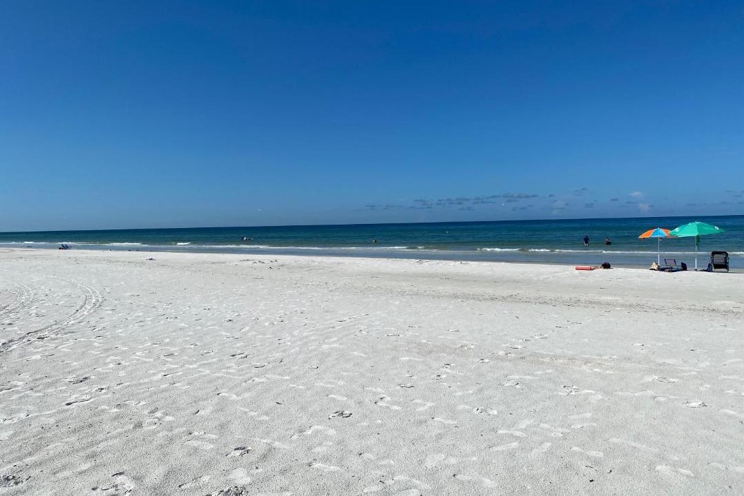 Photo of Others in Indian Shores