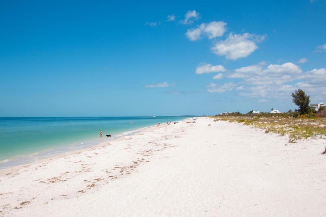 Photo of Others in Clearwater Beach