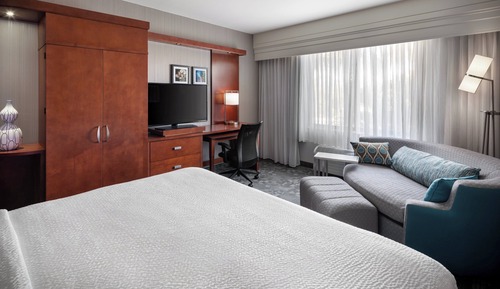 Room, 1 King Bed with Sofa bed (Hearing Accessible)