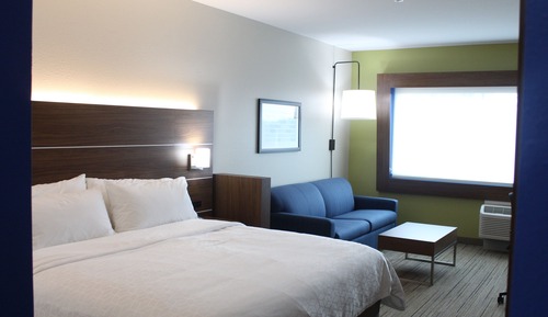 Suite, 1 King Bed with Sofa bed