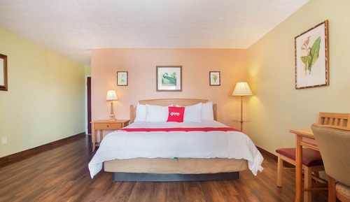 Room, 1 King Bed