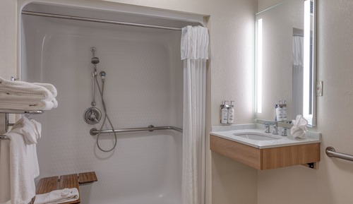 Suite, 1 Queen Bed, Roll-in Shower (Comm Access)