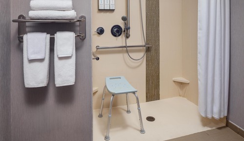 Room, 1 King Bed with Sofa bed, Accessible (Ada W/ Shower)