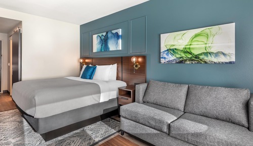Standard Room, 1 King Bed, Non Smoking, Refrigerator & Microwave (with Sofabed)